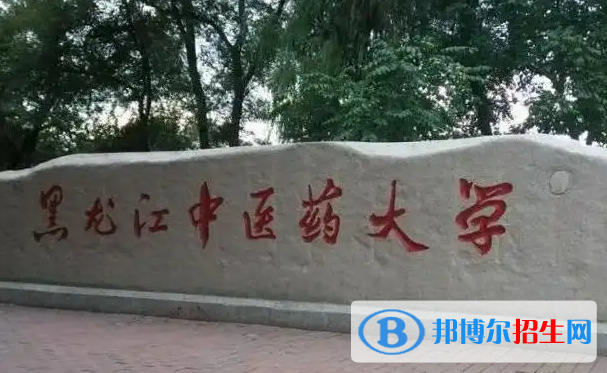 2023黑龍江理科290分左右能上什么好大學（本省大學+外省大學）