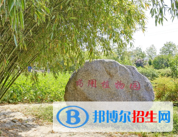 河南2023年衛(wèi)校最好的大專院校有哪些