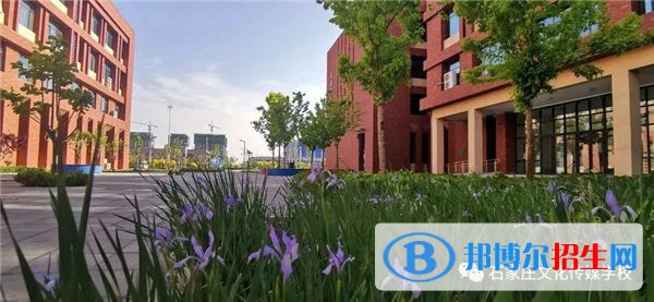 石家莊2023年計算機學(xué)校學(xué)什么好有前途