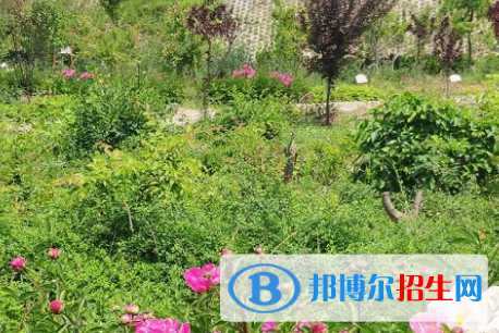 河南2023年女生學衛(wèi)校
