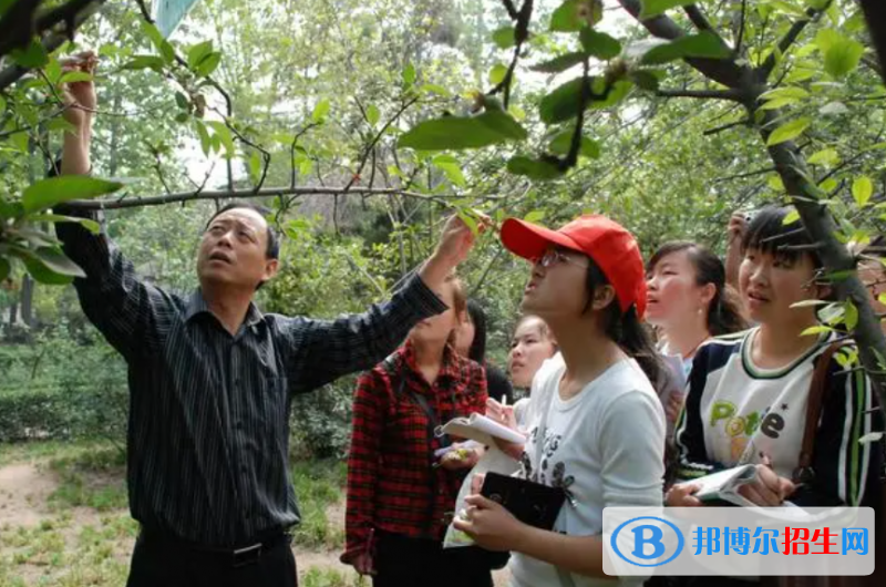 大學(xué)作物生產(chǎn)技術(shù)專業(yè)可以從事哪些工作？