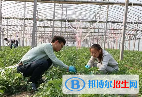 大學農(nóng)業(yè)工程專業(yè)可以從事哪些工作？