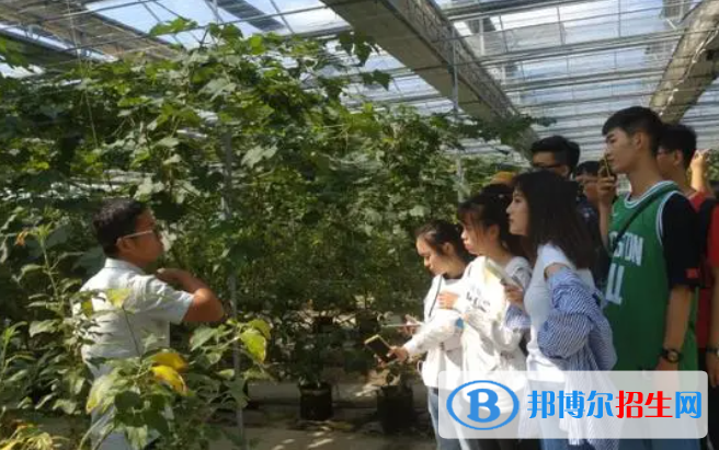 大學(xué)農(nóng)林經(jīng)濟(jì)管理專業(yè)可以從事哪些工作？