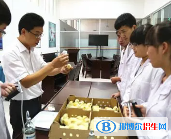大學(xué)動植物檢疫專業(yè)可以從事哪些工作？