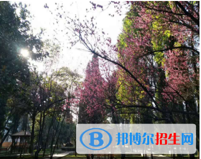 貴州2023年女生上鐵路學(xué)校學(xué)什么專(zhuān)業(yè)好