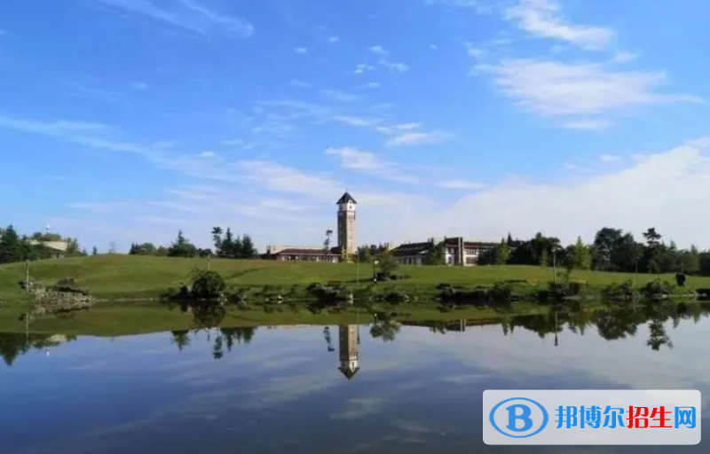 成都東軟學院是211還是985(成都東軟學院）