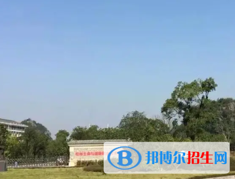 廣西2023年計算機(jī)學(xué)校哪里比較好