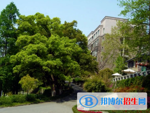 杭州2023年上什么中專學(xué)校好