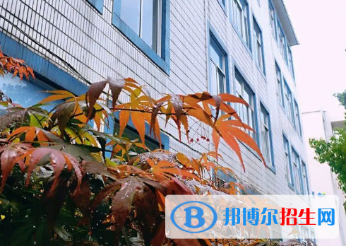 杭州2023年中專學校讀什么專業(yè)好