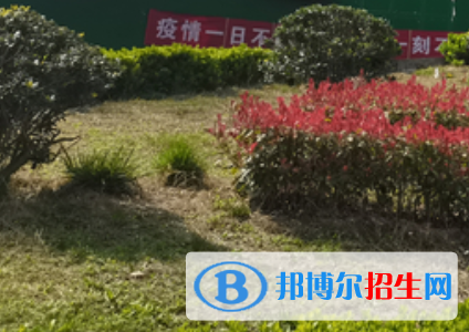 河南2023年哪個(gè)衛(wèi)校就業(yè)比較好