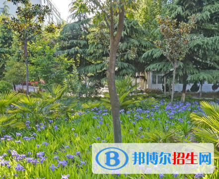 河南2023年哪個衛(wèi)校比較好呢