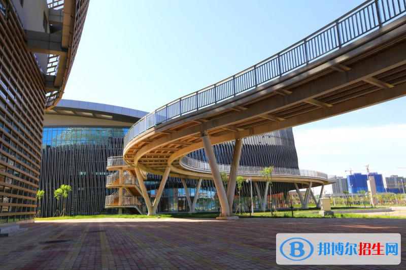 石家莊2023年女生讀計算機學校學什么好