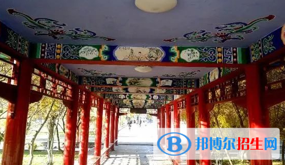 張掖市第二中學2023年網(wǎng)站網(wǎng)址  