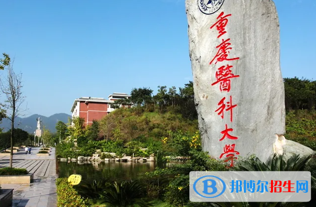 2023重慶歷史類(lèi)545分左右能上什么好大學(xué)（本省大學(xué)+外省大學(xué)）