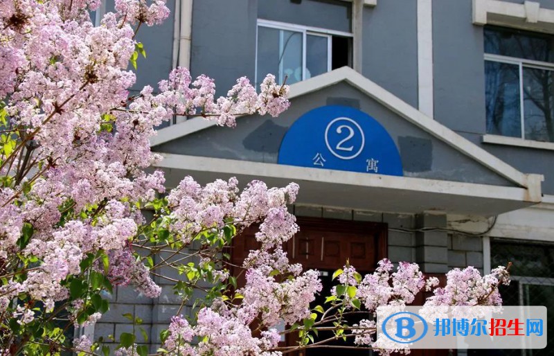 蘭州2023年初中生報什么計算機(jī)專業(yè)最好