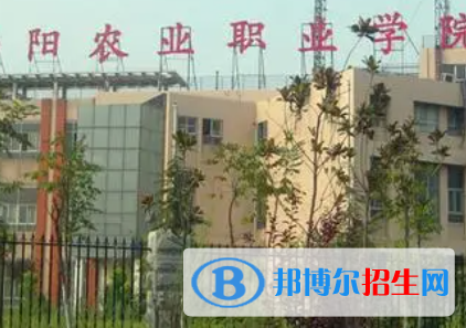 南陽農業(yè)職業(yè)學院是大專還是中專（南陽農業(yè)職業(yè)學院）