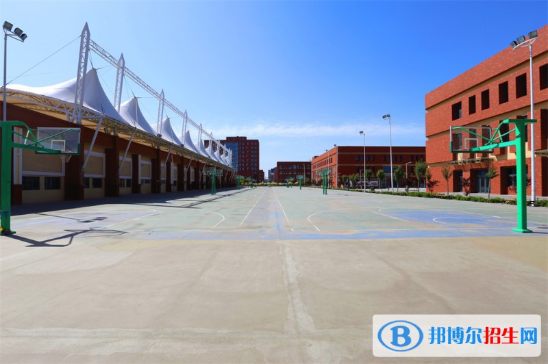 石家莊2023年去計(jì)算機(jī)學(xué)校學(xué)什么專(zhuān)業(yè)好