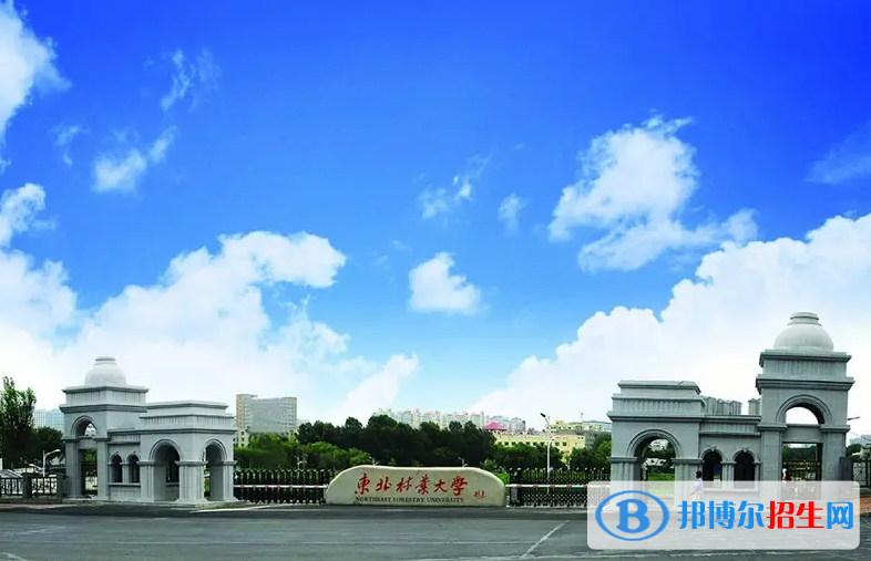 2023黑龍江文科525分左右能上什么好大學(xué)（本省大學(xué)+外省大學(xué)）