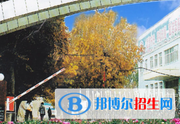 新疆生產(chǎn)建設(shè)兵團興新職業(yè)技術(shù)學院是大專還是中專(新疆生產(chǎn)建設(shè)兵團興新職業(yè)技術(shù)學院)