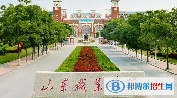 2023年年山東職業(yè)學(xué)院?jiǎn)握袑I(yè)有哪些？