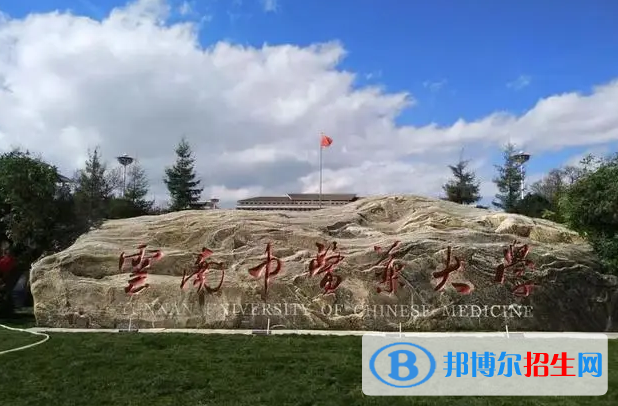 中國大學傣醫(yī)學專業(yè)排名(2022應用型)