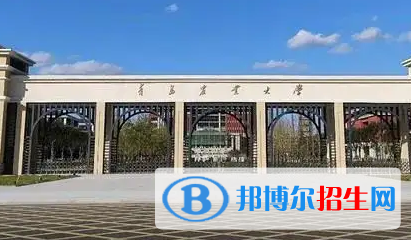 青島農(nóng)業(yè)大學(xué)排名(全國(guó))青島農(nóng)業(yè)大學(xué)在山東排名