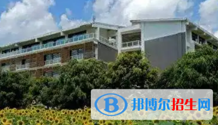 2023廣西十大?？茖W(xué)校排名