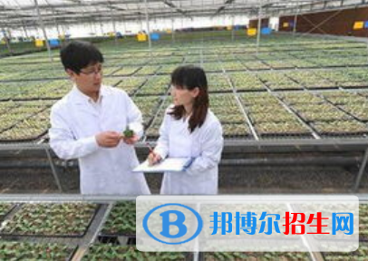 農(nóng)村新型經(jīng)濟組織管理專業(yè)好嗎?