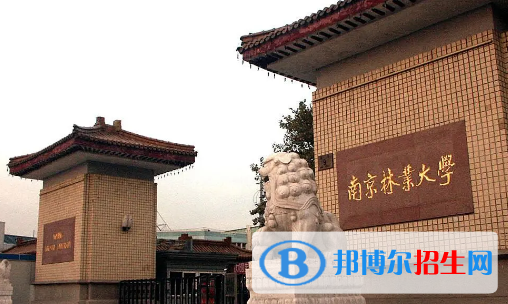中國(guó)大學(xué)林產(chǎn)化工專業(yè)排名(2022應(yīng)用型)