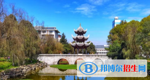 中國大學認知科學與技術專業(yè)排名（2022研究型）