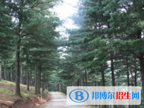 林草生態(tài)保護與修復(fù)專業(yè)好嗎?