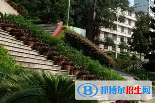 福建林業(yè)職業(yè)技術(shù)學(xué)院2022高職分類考試分數(shù)線