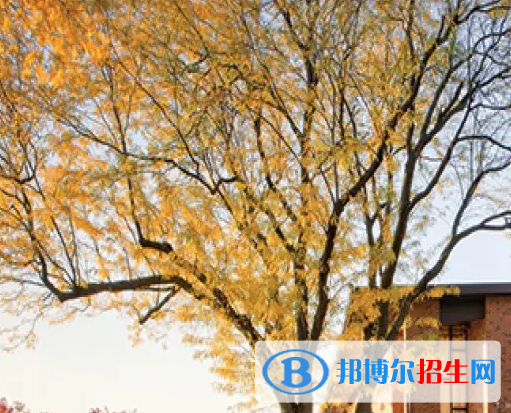 美國(guó)巴斯圖高中2023年學(xué)費(fèi)標(biāo)準(zhǔn)2
