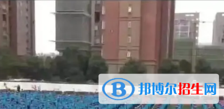 亳州五中、譙城區(qū)宏志中學(xué)2022錄取分?jǐn)?shù)線（2023參考）