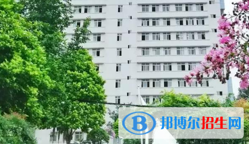 2023地下與隧道工程技術(shù)專業(yè)的高職?？茖W(xué)校有哪些?(附排名)