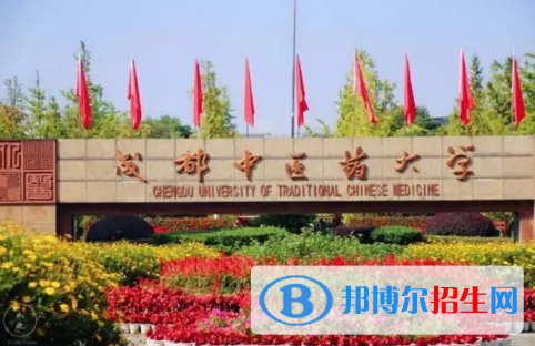 中國(guó)大學(xué)中醫(yī)兒科學(xué)專業(yè)排名(2022應(yīng)用型)