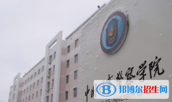 中國(guó)大學(xué)反恐警務(wù)專(zhuān)業(yè)排名（2022研究型）
