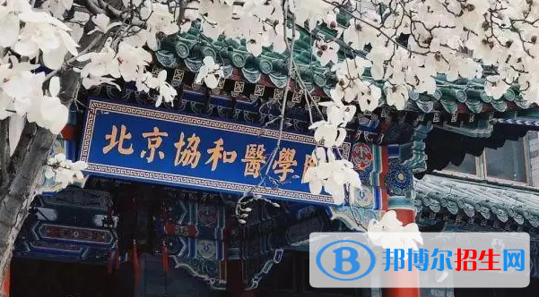 中國大學臨床醫(yī)學專業(yè)排名(2022應用型)