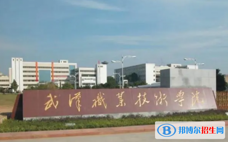 武漢職業(yè)技術(shù)學(xué)院單招怎么樣？（2024）