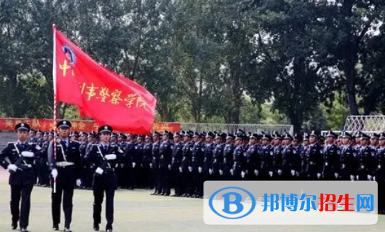 中國大學刑事科學技術(shù)專業(yè)排名（2022研究型）