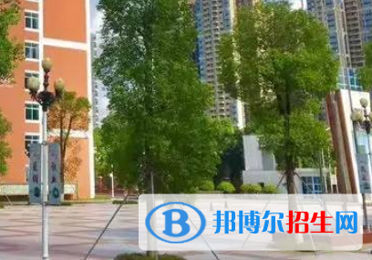東莞外國語學校2022年分數線是多少?(2023參考)