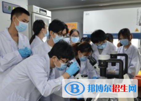 生物信息學專業(yè)好嗎?(生物信息學專業(yè))