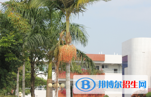 潮陽(yáng)黃圖盛中學(xué)2022錄取分?jǐn)?shù)線（2023參考）