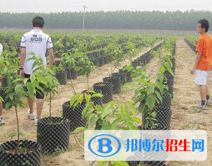 農(nóng)業(yè)建筑環(huán)境與能源工程專業(yè)好嗎?(農(nóng)業(yè)建筑環(huán)境與能源工程專業(yè))