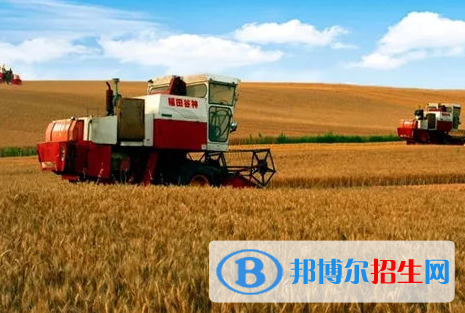 農(nóng)業(yè)機(jī)械化及其自動(dòng)化專業(yè)好嗎?(農(nóng)業(yè)機(jī)械化及其自動(dòng)化專業(yè))