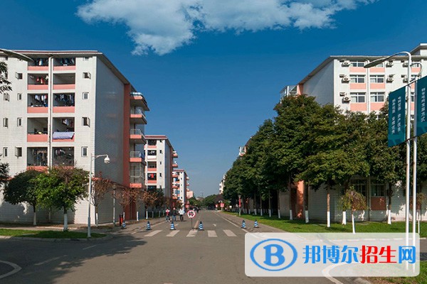四川電力職業(yè)技術(shù)學(xué)院?jiǎn)握?023年學(xué)費(fèi)是多少