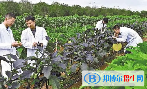 綠色生物制造技術專業(yè)(國標版)怎么樣?