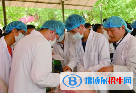 動物科學(xué)專業(yè)好嗎?(動物科學(xué)專業(yè))