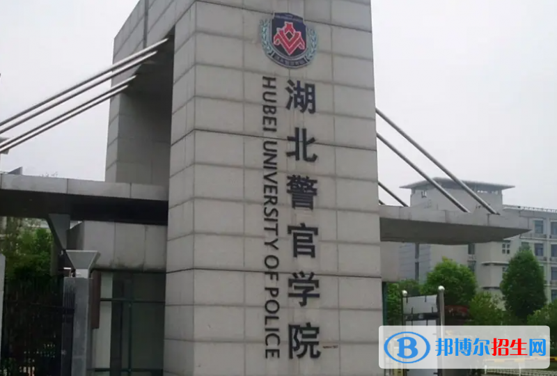 山東高考490分左右可以報(bào)考什么學(xué)校（2023報(bào)考參考）