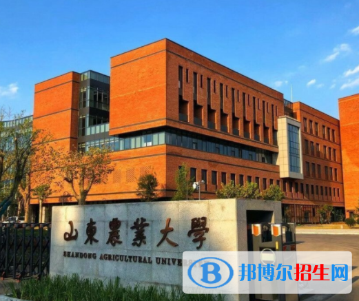 泰安所有公辦大學有哪些?(附大學名單)